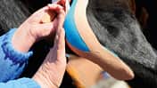 CAV Tape Kinesio Tape Medizin Muskeln 5