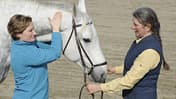 CAV Biegung Genick Studie Dressur Stellung 3