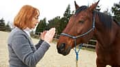 CAV Reiki Christa Mahlmeister 1