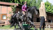 CAV Reitsimulator Reiter-Sitz 3