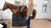 CAV Reitsimulator Frauke Behrens Sitz Coach