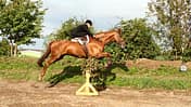 CAV 0210 Damensattel reiten 10