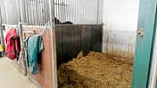 CAV-0412-Reitschultest-Reitverein-Dillingen-Stall (jpg)