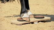 CAV Zweibein Wippe selbst machen