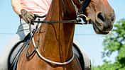cav-201810-balancezuegel-lir6065-aufmacher (jpg)