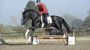 CAV Ingrid Klimke Galopp Cavaletti Sir