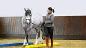 CAV Equikinetic Michael Geitner 1