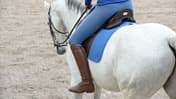 CAV Reiten ohne Steigbügel 1