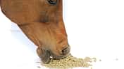 CAV Mineralfutter - Derby Mineral Pellets