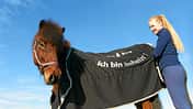 CAV Abschwitzdecken 2