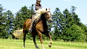 CAV Intervalltraining Aufmacher