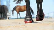 CAV Hufschuhe Huf Beschlag Offenstall
