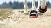 CAV Hufschuhe Bernd Jung Trailer DVD