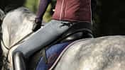 CAV Reithose Produkte Equipment