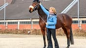 cav-201904-cavallo-coach-lir7586-mit-TEASER-v-amendo (jpg) cav-201904-cavallo-coach-lir7586-mit-TEASER-v-amendo (jpg)