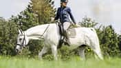 CAV 201801 Pferd Ausritt