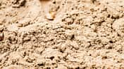 CAV Sand Reitplatz 1 CAV Sand Reitplatz 1