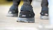 CAV Hufschuhe Huf Beschlag Offenstall Easy Boot RX