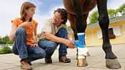 CAV Medizin Tierarzt Bester Doc Body Check 1