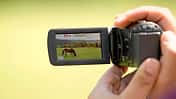 CAV Pferde filmen Video Kamera Camcorder