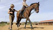 CAV Schulpferde Reitunterricht Reitlehrer