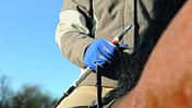 CAV Gerten Test CAVALLO