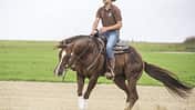 CAV Spin Hinterhanddrehung Westernreiten