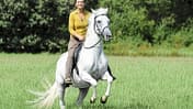 CAV Frau reitet Schimmel auf Wiese