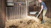 cav-201811-misten-1500-misten-20180911-cavallo-tp-sattler-0006-tom-hartig-slash-TOMsPIC-v-amendo (jpg)