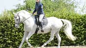 CAV Reiterin im Galopp auf Dressurplatz Reitbeteiligung