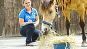 CAV Vivian Gabor mit Pferd