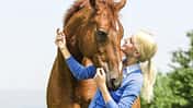 CAV Mensch kuschelt mit Pferd