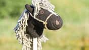 CAV Bastelecke Steckenpferd Aufmacher CAV Bastelecke Steckenpferd Aufmacher