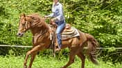 CAV Muskeltraining Aufmacher TL