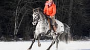 CAV Ausritt Schnee Aufmacher