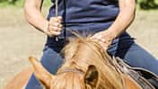 CAV Einhändig Reiten Aufmacher