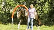 CAV Horse Agility Aufmacher