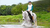 CAV Harmonie Pferd und Reiter 1