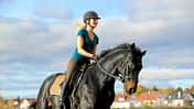 CAV Dressur Coach Galopp Brauner