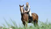 CAV Pferd Reiter Fuchs Gelände