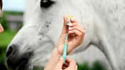 CAV Medizin Kompendium 2015 Shop Links