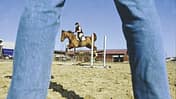 CAV 0210 Pferd Pur Kaufvertrag_01