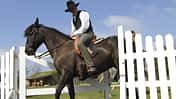CAV Working Equitation