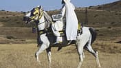 2 CAV Araber-Berber 4_2004