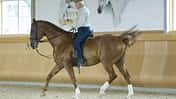 CAV Jean-Claude Racinet  Bild 3