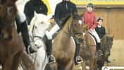 CAV Quadrille