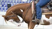 CAV Westernkritik