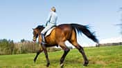 CAV 0508 Schwung - Training