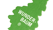 CAV_in_aller_Frische_Baum_teaser