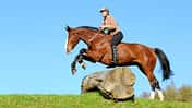 CAV Gelände Springreiten Gebisslos